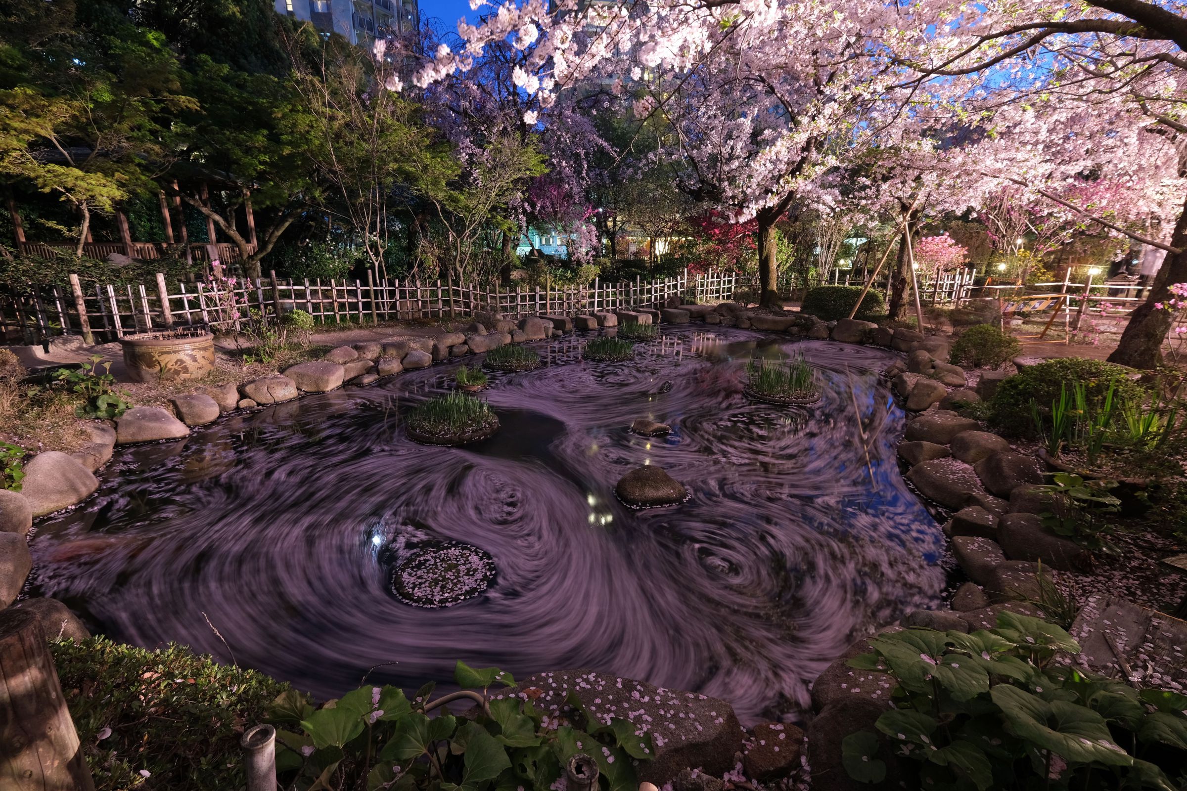 花筏  回る花筏 | GANREF