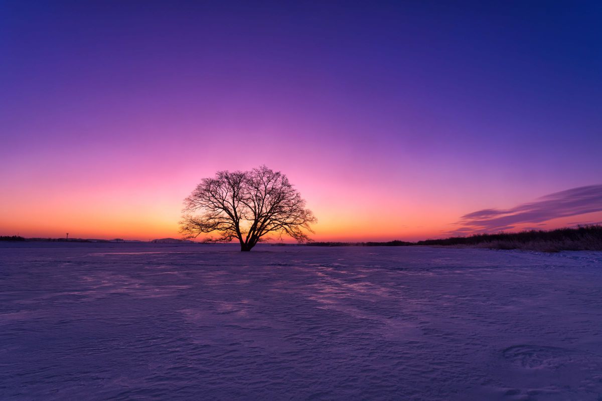 NIKKOR Z 14-24mm f/2.8 Sで撮影された写真 | 写真検索 | GANREF