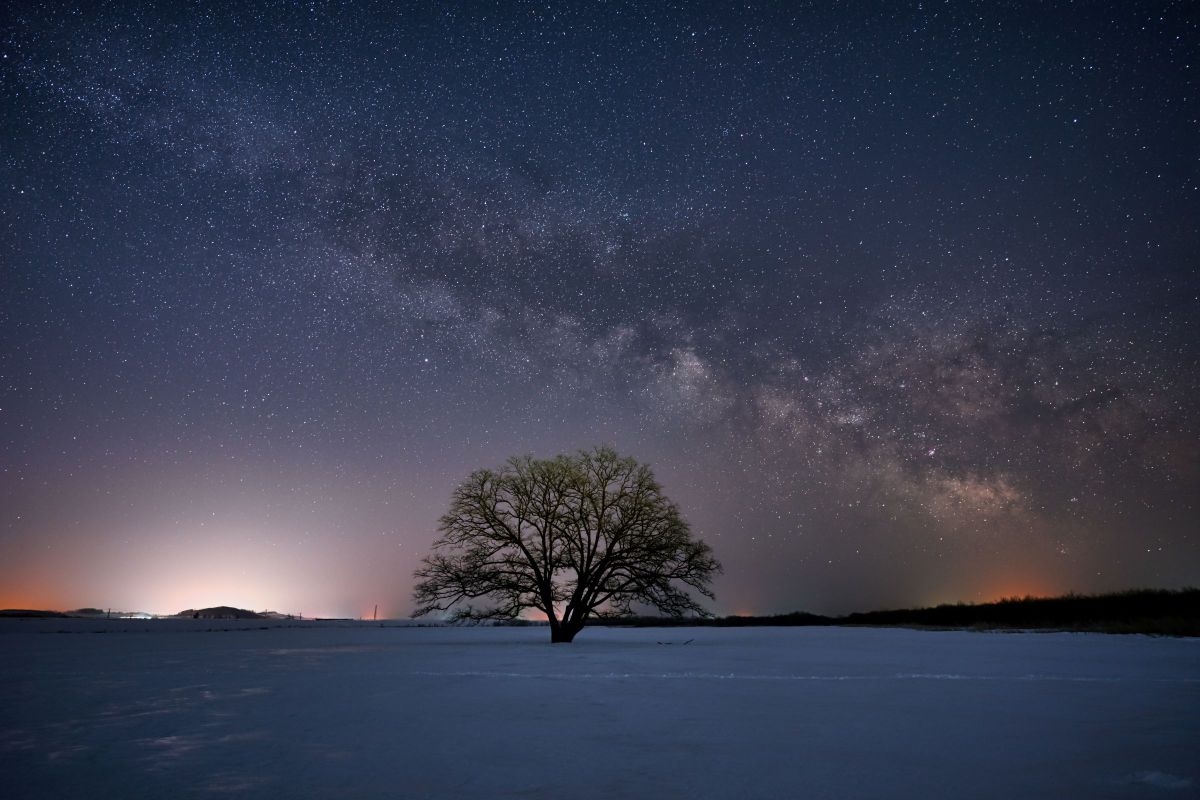 フォトカ　14枚 フォトカ14枚