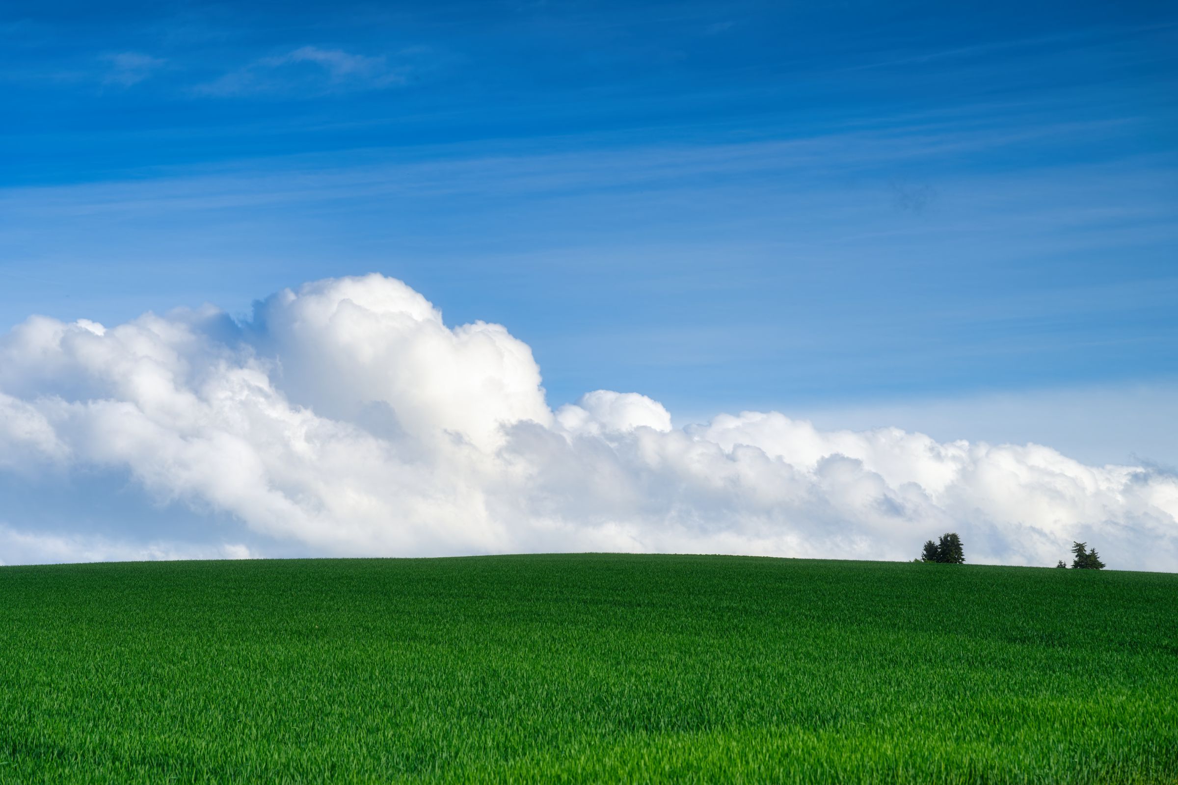 夏の雲 夏雲！ | GANREF