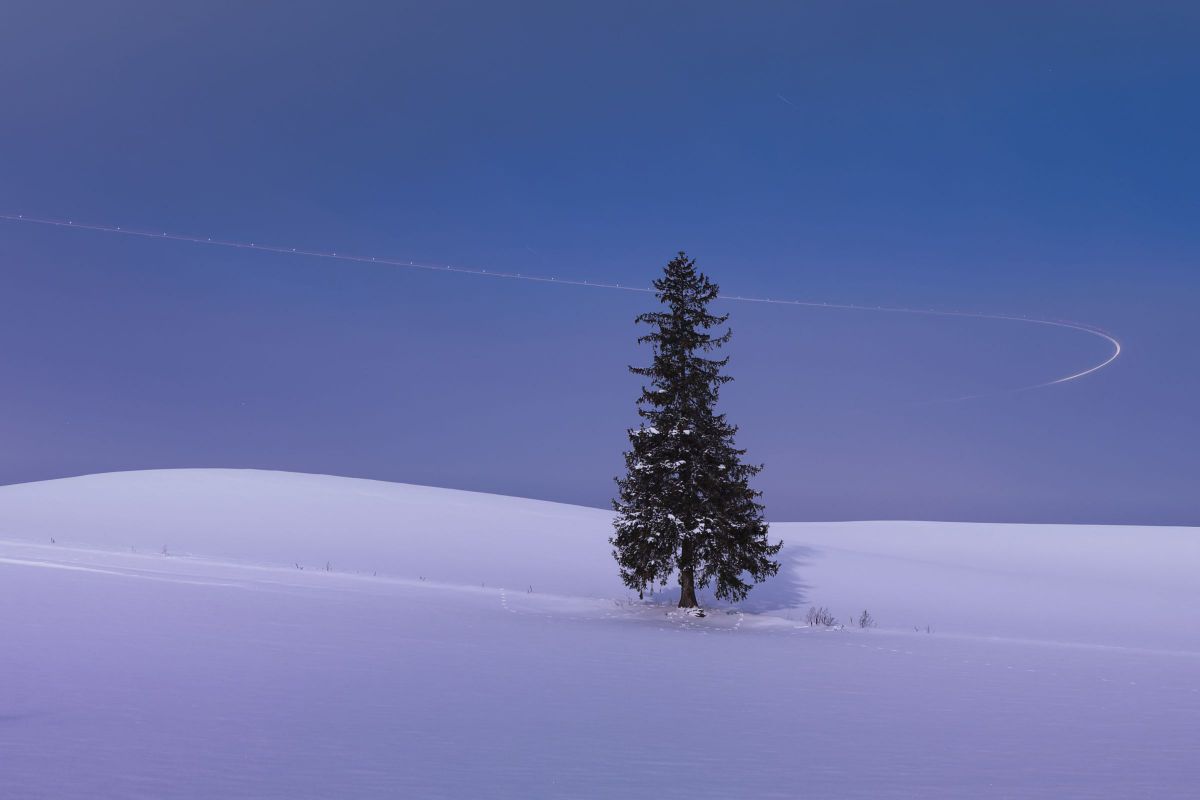 NIKKOR Z 14-24mm f/2.8 Sで撮影された写真 | 写真検索 | GANREF