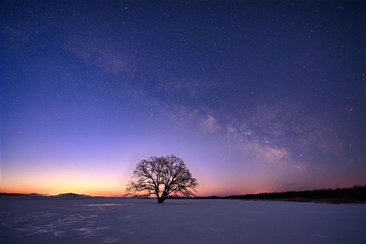 fl58f1.2　作例あり NIKKOR Z 14-24mm f/2.8 Sで撮影された写真 | 写真検索 | GANREF
