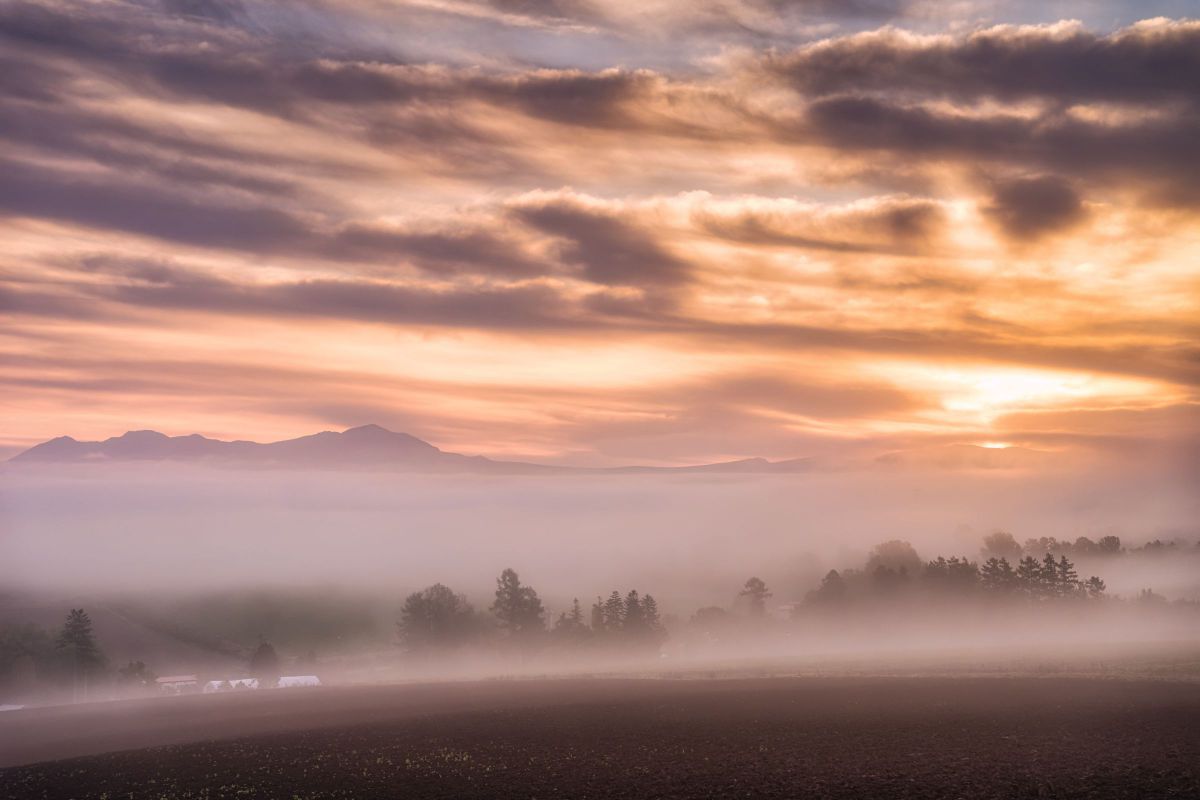 NIKKOR Z 24-120mm f/4 Sで撮影された写真 | 写真検索 | GANREF
