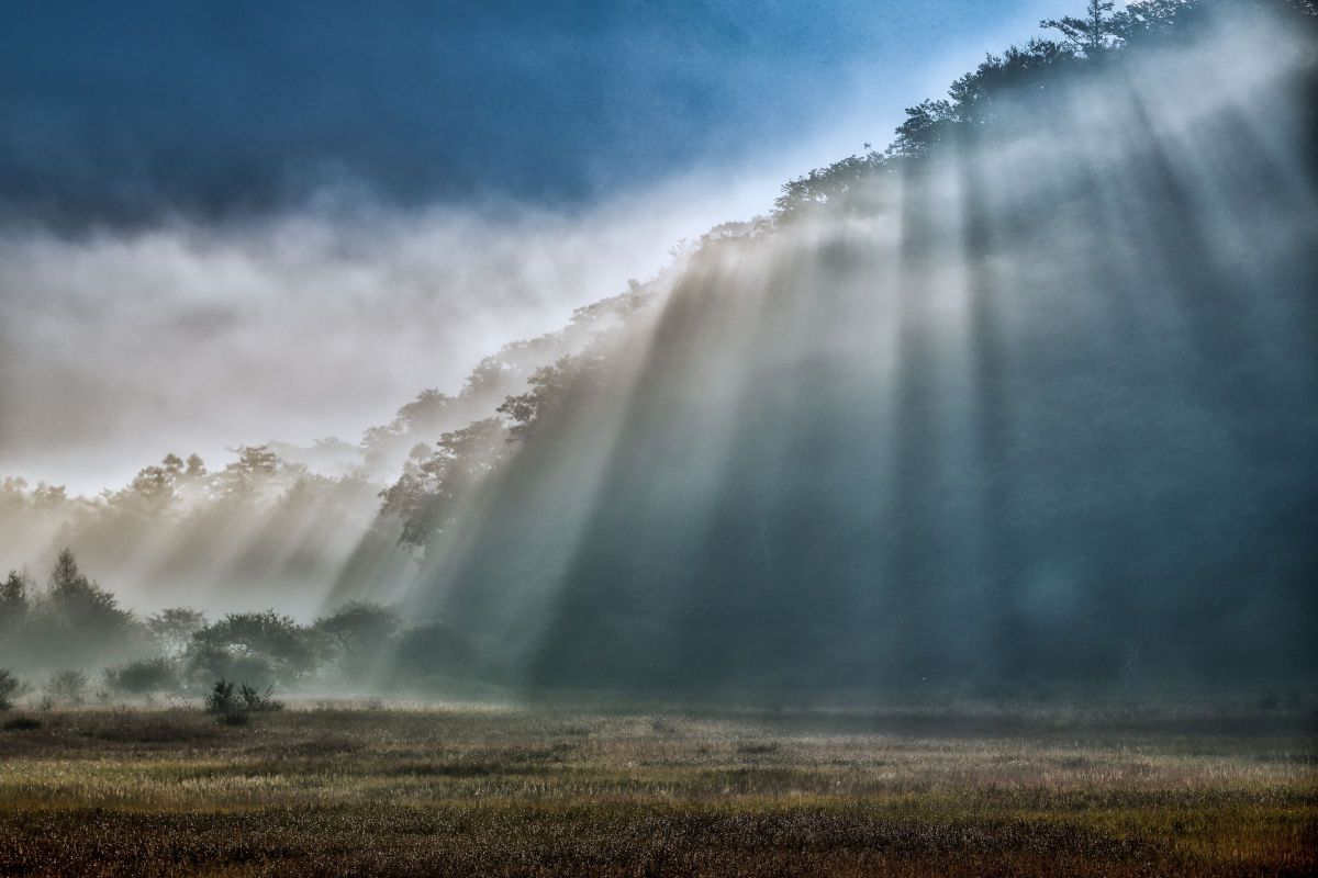 SP 70-200mm F/2.8 Di VC USD G2 (Model A025)で撮影された写真 | 写真 