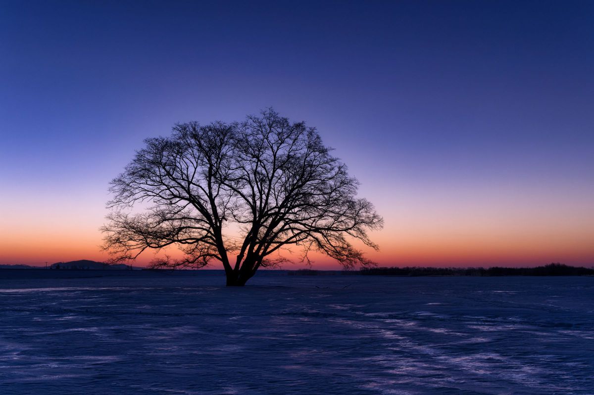 NIKKOR Z 14-24mm f/2.8 Sで撮影された写真 | 写真検索 | GANREF
