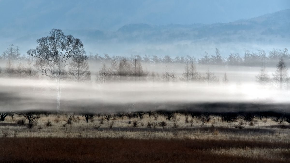 逢いたくていま 自然 風景 高原 Ganref
