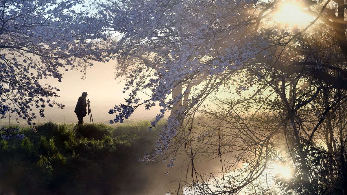 AF-S NIKKOR 50mm f/1.8Gで撮影された写真 | 写真検索 | GANREF