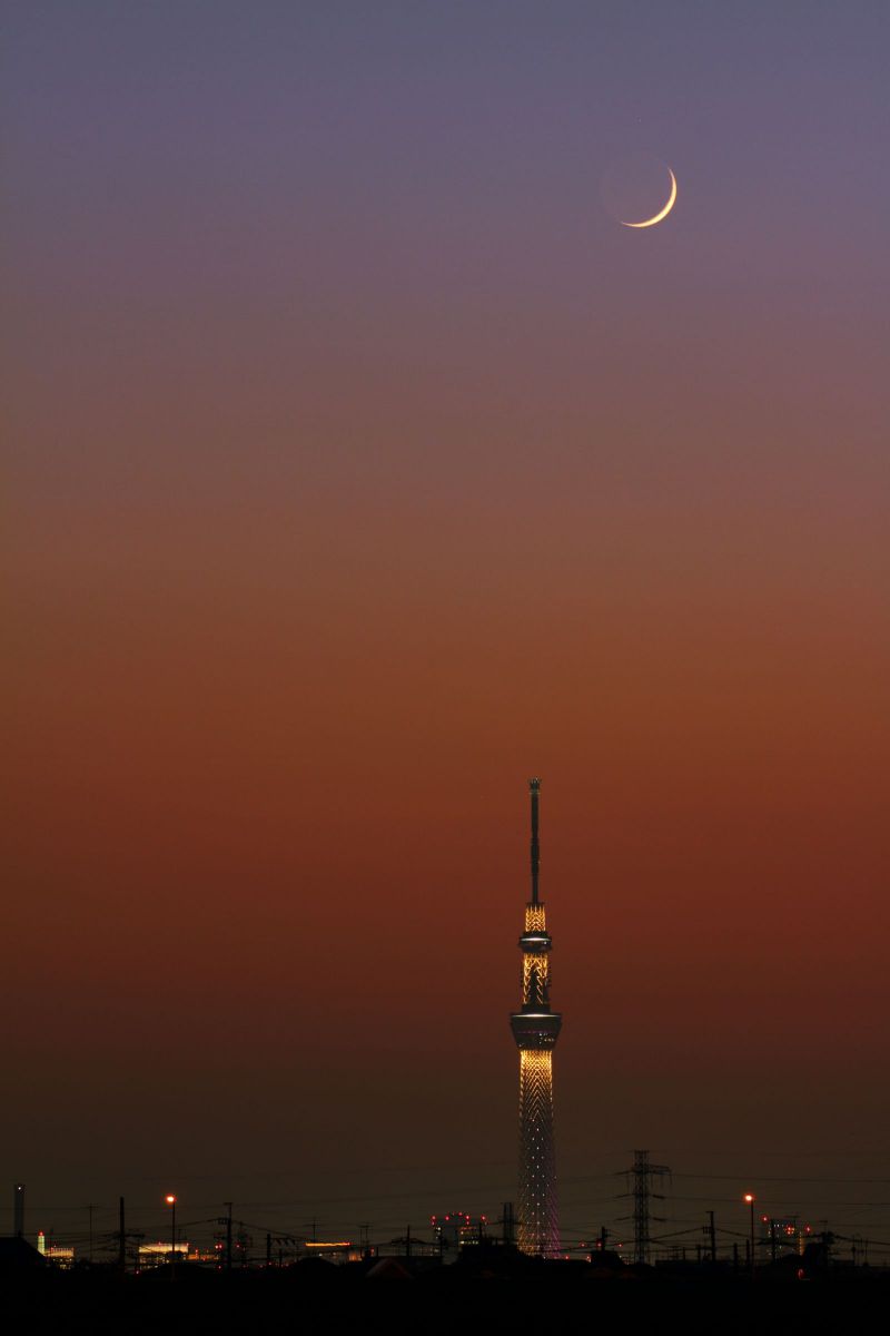 Magic moon | GANREF