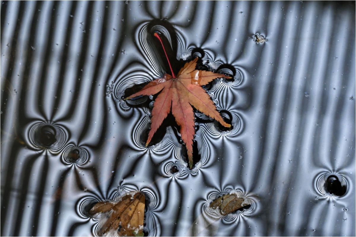 MDAwMDAyODEyMg_MC44MzE1MzAwMCA