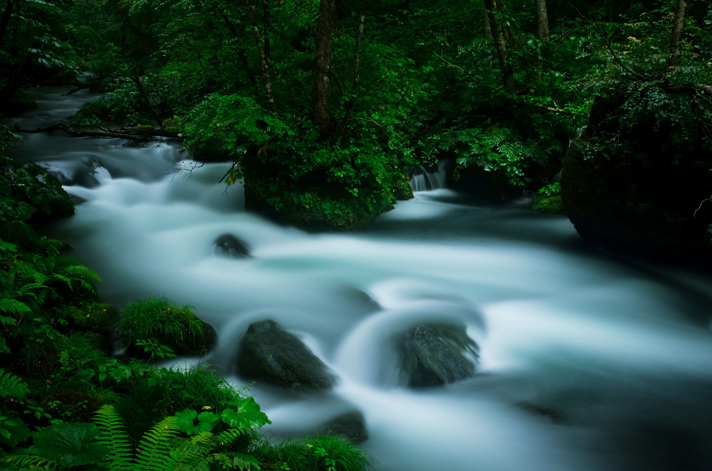 奥入瀬渓流18 | GANREF