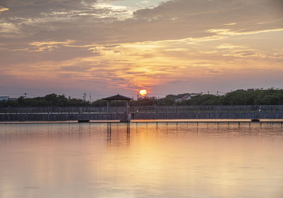 夕陽 | GANREF