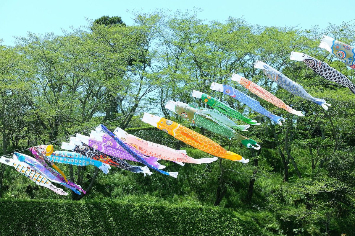 FUJIFILM X-T1で撮影された写真 | 写真検索 | GANREF