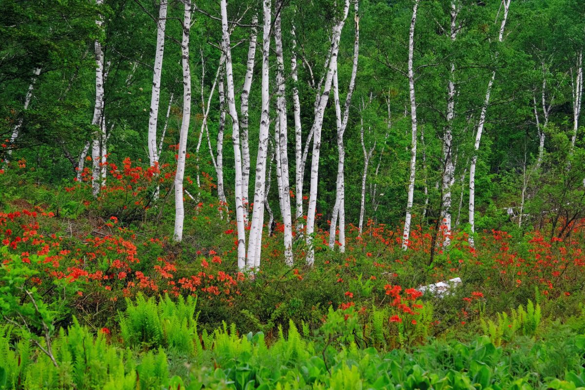 MDAwMDA2NTEwNQ_MC4zNDg1NjIwMCA