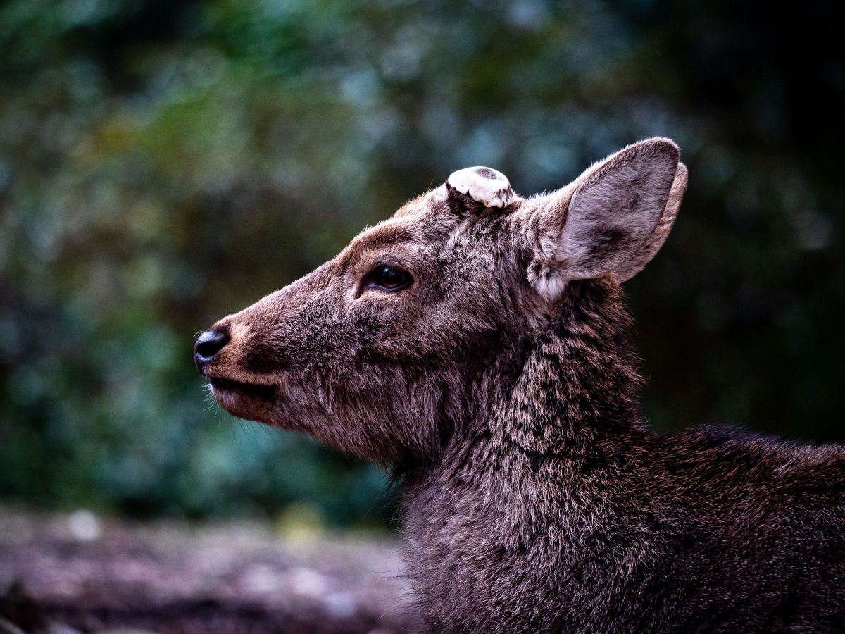 Relax Time | GANREF