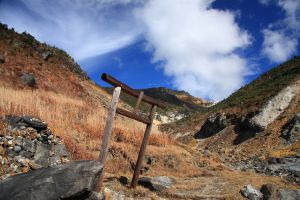 究極の美◼️蔵からかなり美しいエメラルドグリーンの見事な大きな壺、壷が出てきました 究極の美◼️蔵からかなり美しいエメラルドグリーンの見事な