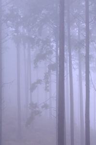 7b4b8b0b07335f5c45ef8a51557009
