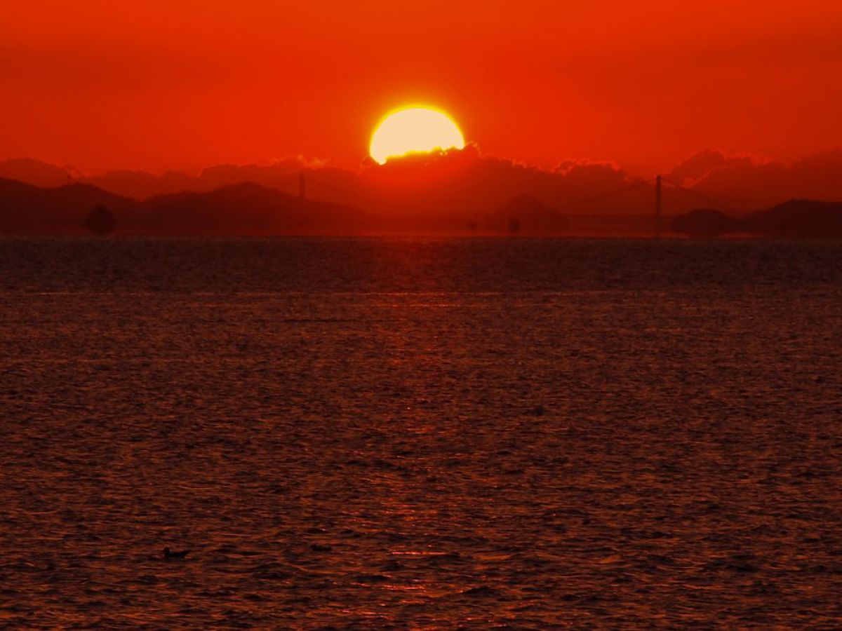 写真検索結果 | 写真検索 | GANREF