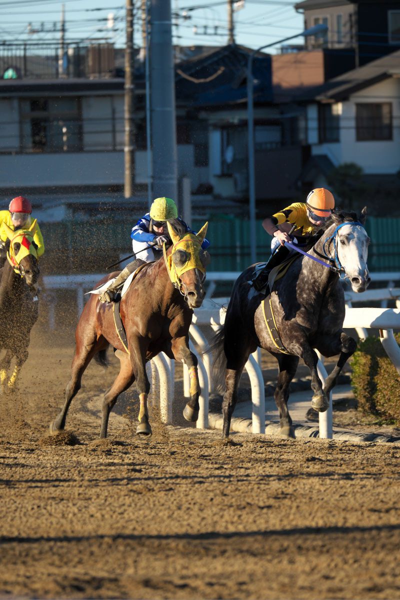 浦和競馬 12/27 | GANREF