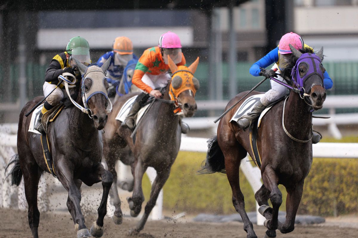 浦和競馬 2026/02/27 | GANREF