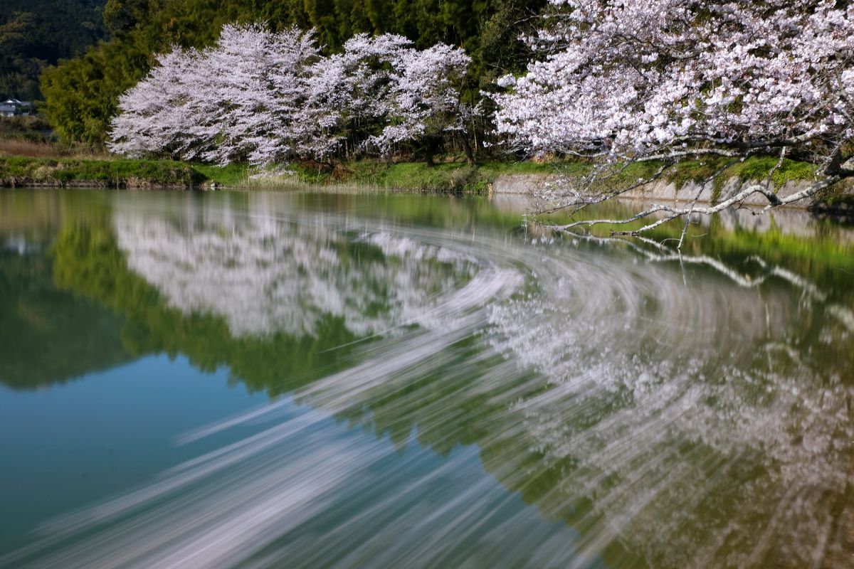 XF18-55mmF2.8-4 R LM OISで撮影された写真 | 写真検索 | GANREF