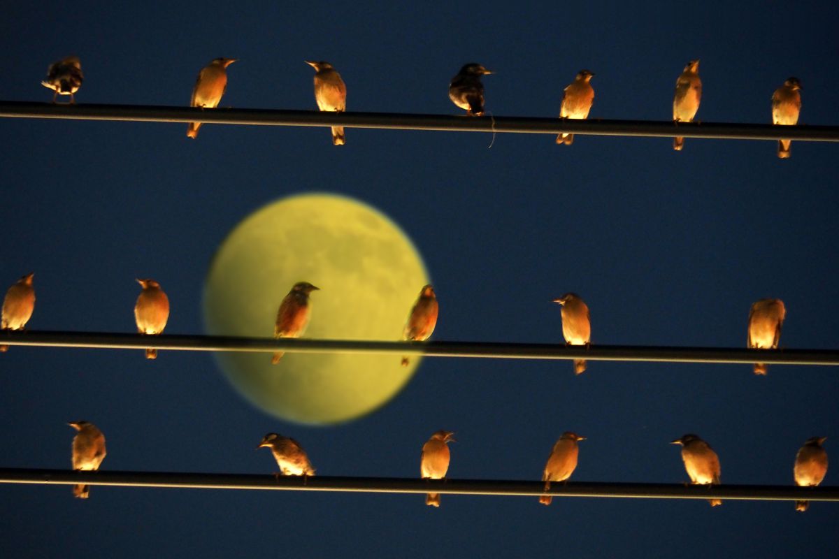 M.ZUIKO DIGITAL ED 14-150mm F4.0-5.6 IIで撮影された写真 | 写真検索