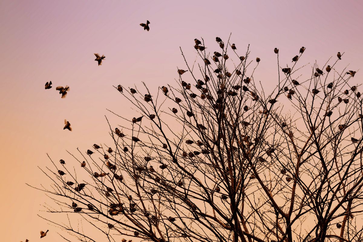 M.ZUIKO DIGITAL ED 14-150mm F4.0-5.6 IIで撮影された写真 | 写真検索