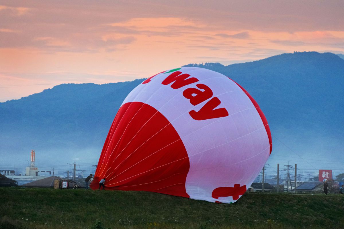 アクシデント GANREF