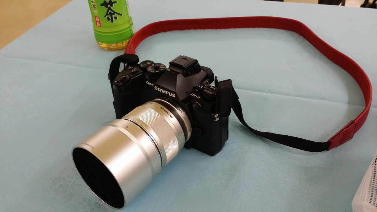 古寺を切り取る、望遠レンズでのスナップ」～OLYMPUS M