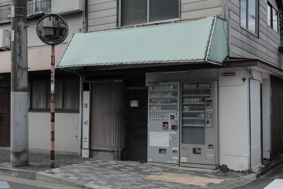 新着写真 | GANREF