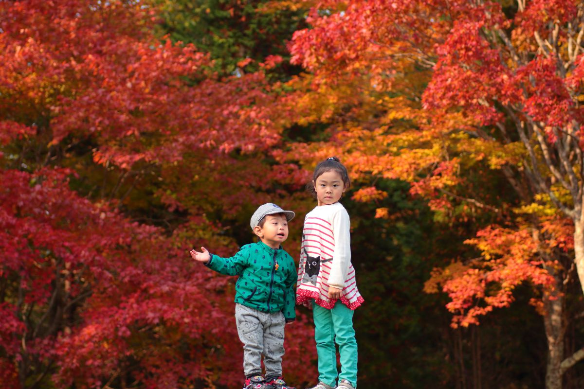 EOS Kiss X5で撮影された写真 | 写真検索 | GANREF