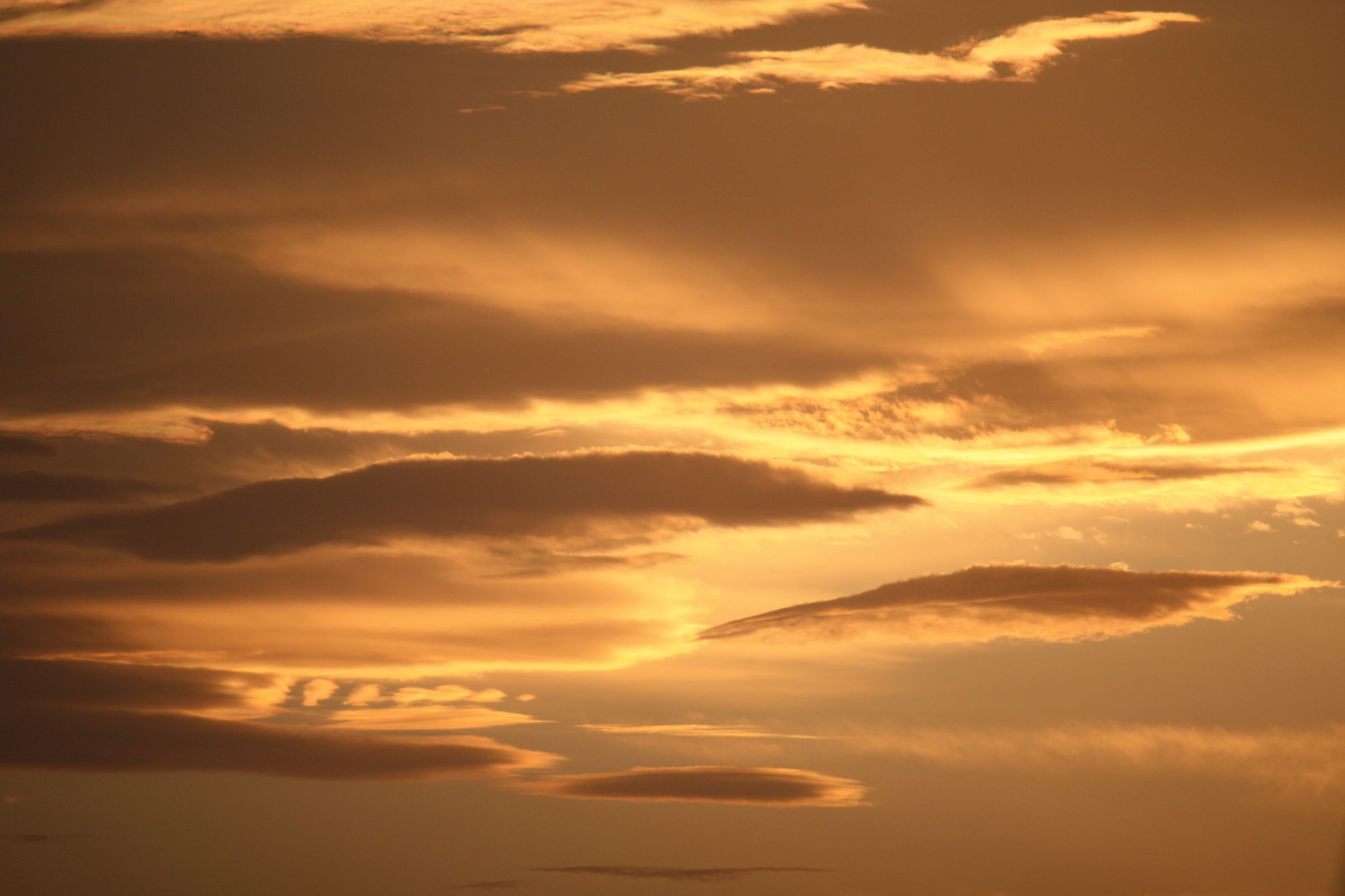 金 の 雲