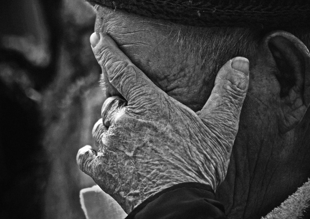 AF-S DX NIKKOR 55-300mm f/4.5-5.6G ED VRで撮影された写真