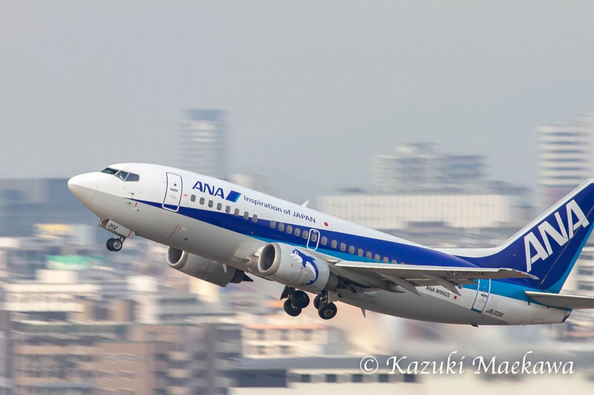 ドルフィン GANREF