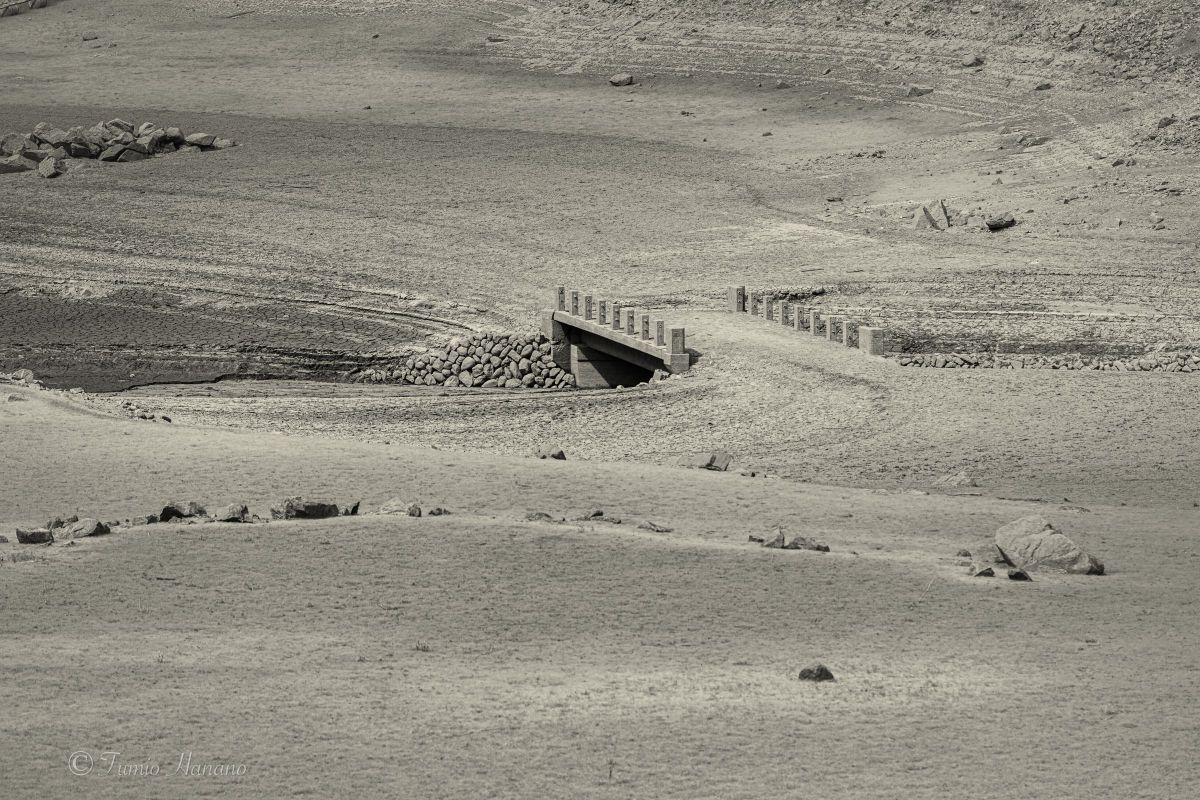 At the dam lake 1 | GANREF