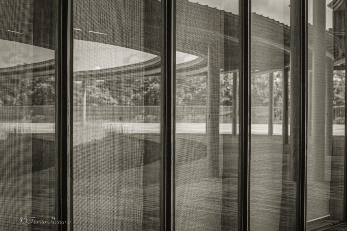 Reflection 2 | GANREF