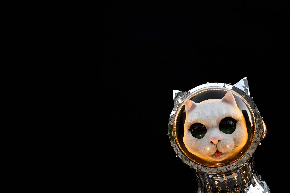 「宇宙遊泳」 GANREF