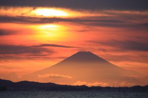 232999b63d7cc63a15bf81970b5e41