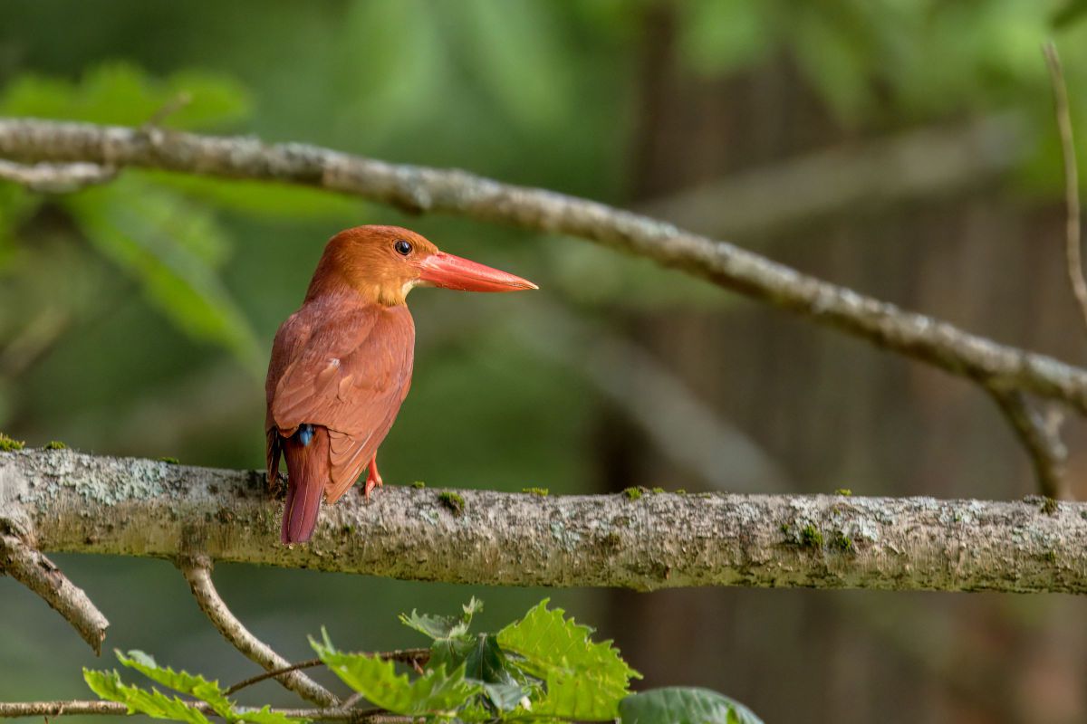 hide宇都宮さんのポートフォリオ | GANREF