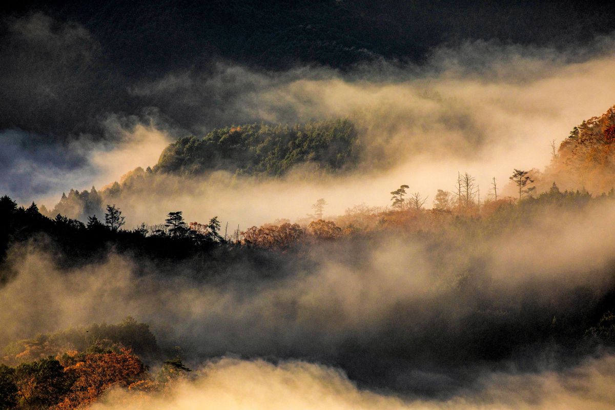 秋 燃える GANREF