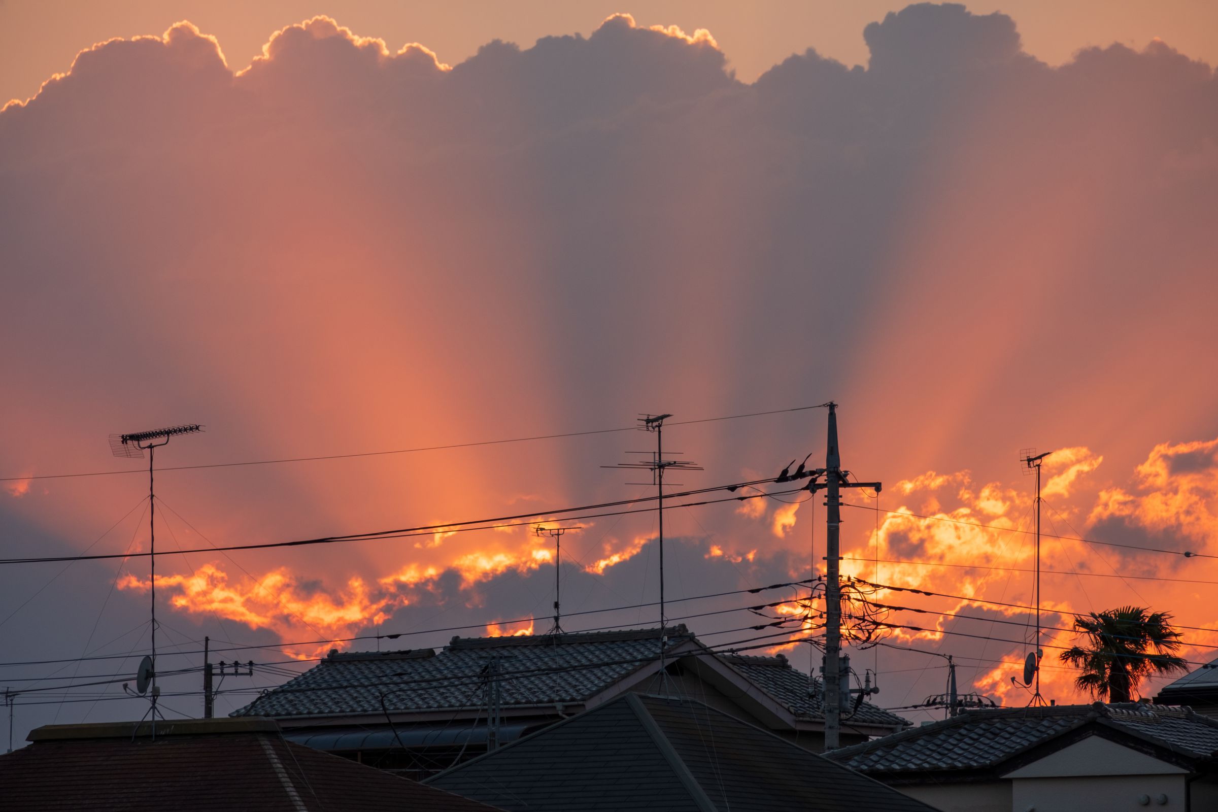 夕日ページ 街の夕日 | GANREF