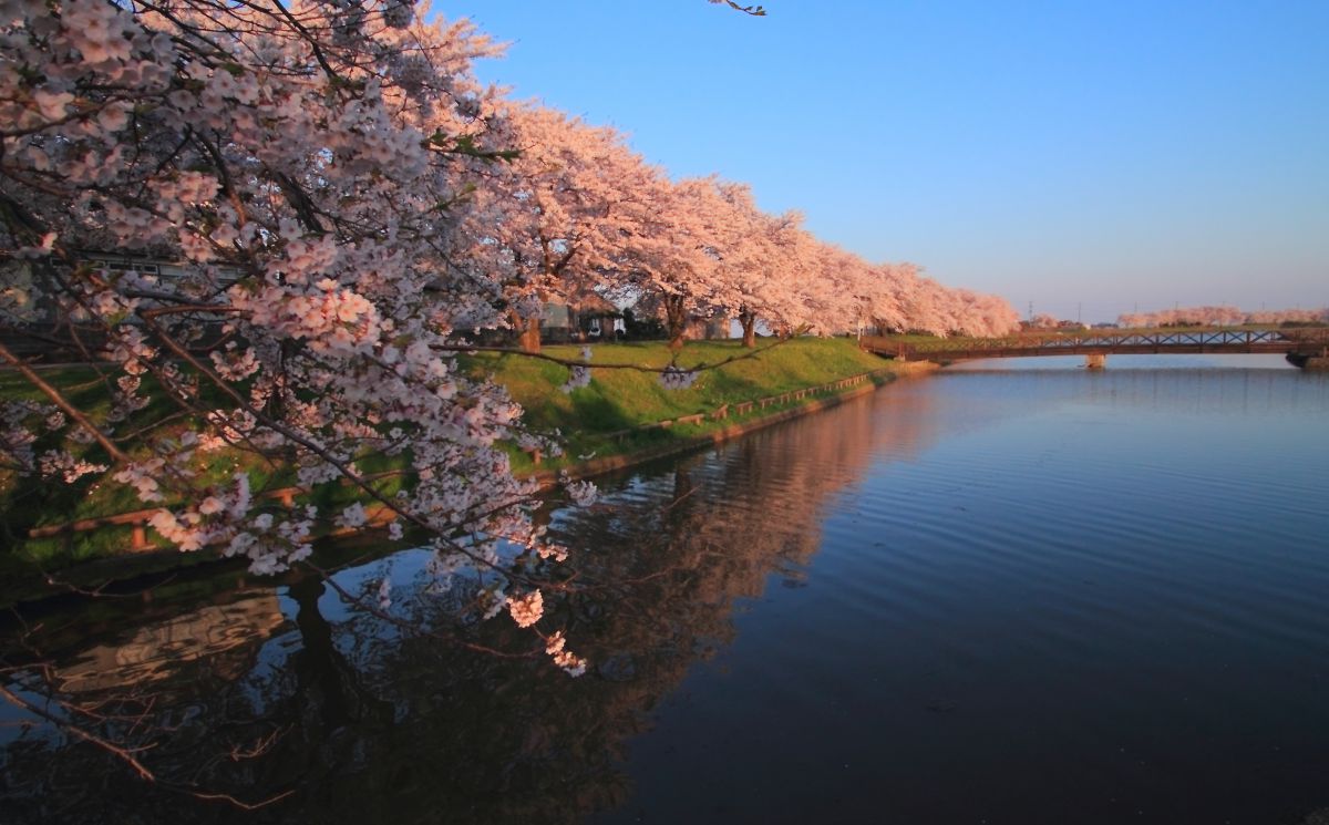 朝陽の詩 自然 風景 湖沼 Ganref 朝陽の詩 自然 風景 湖沼 Ganref