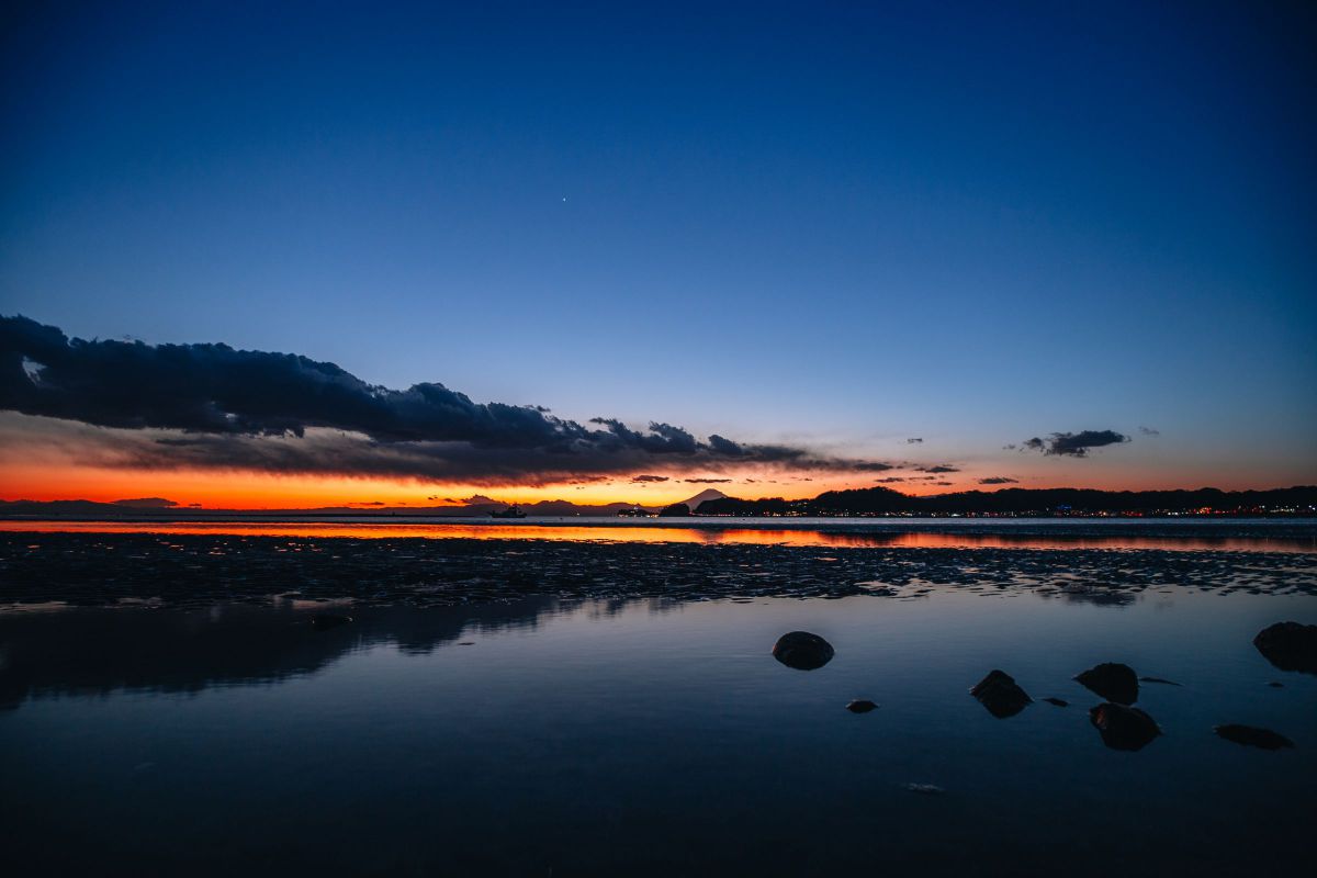 「苔色の地平線」DEEP  Graphpaper / Selvage Denim Five Pocket Wide Straight Pants