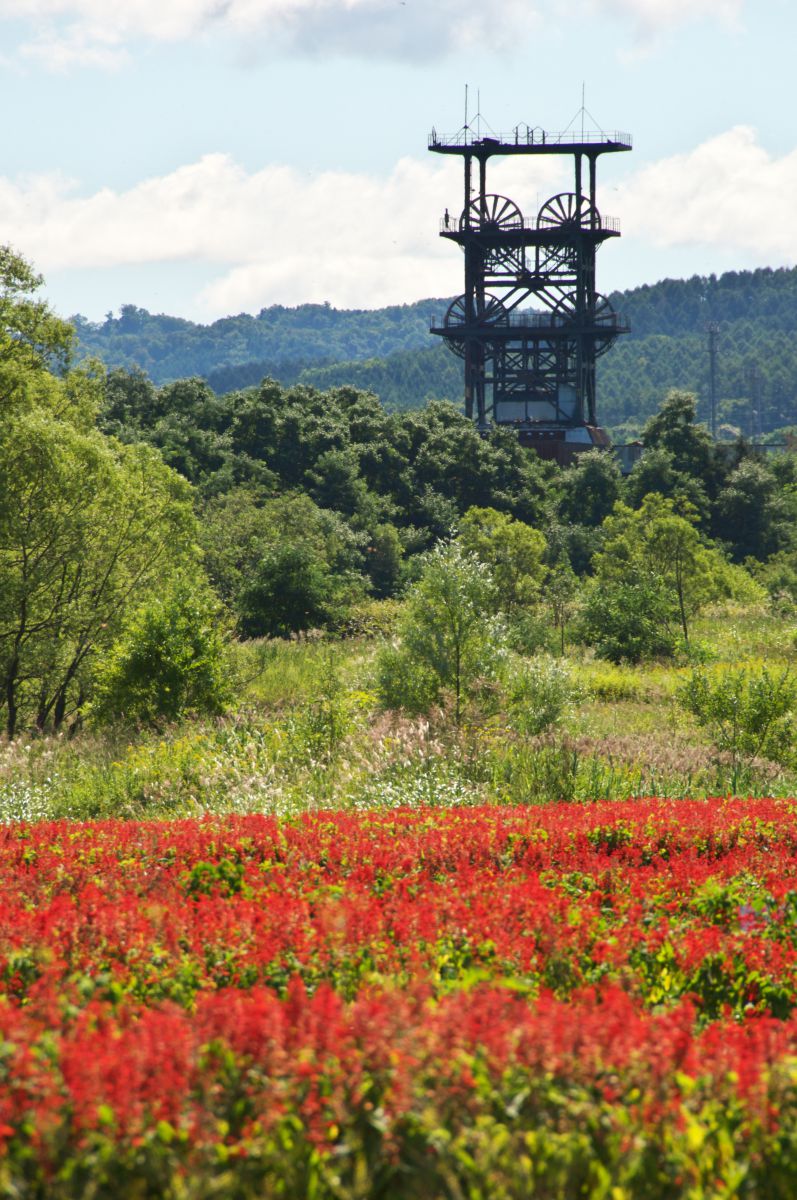 花咲く立坑のまちで