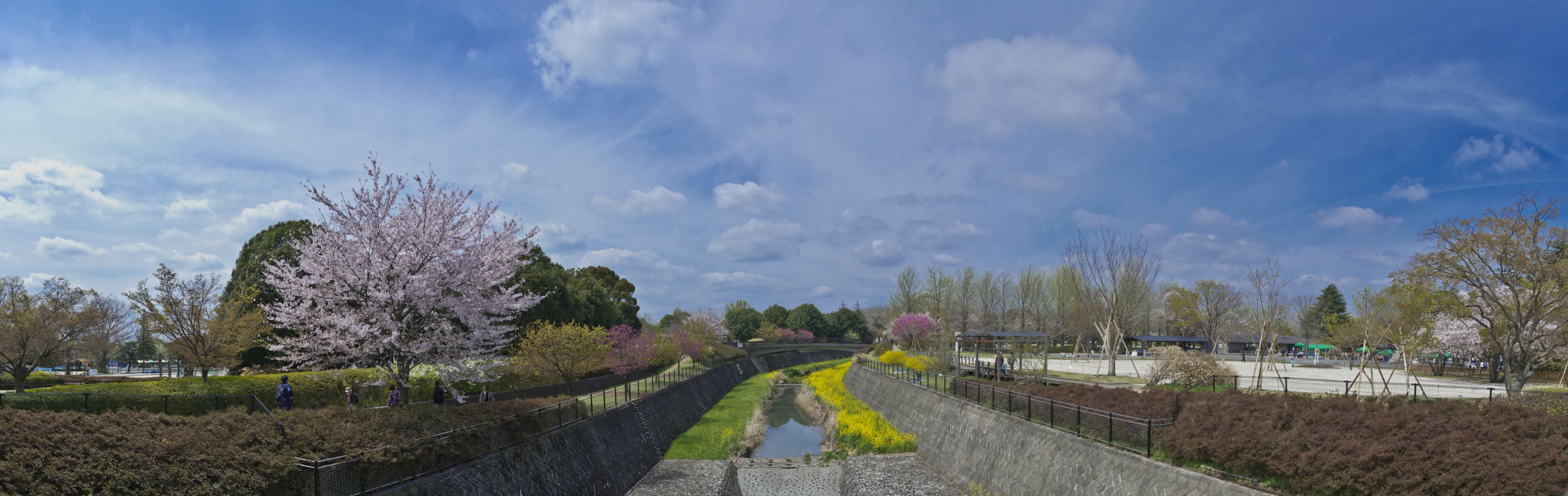 ニコンD800レビュー】 ③ D800の連写性能を測定してみる 4 コマ