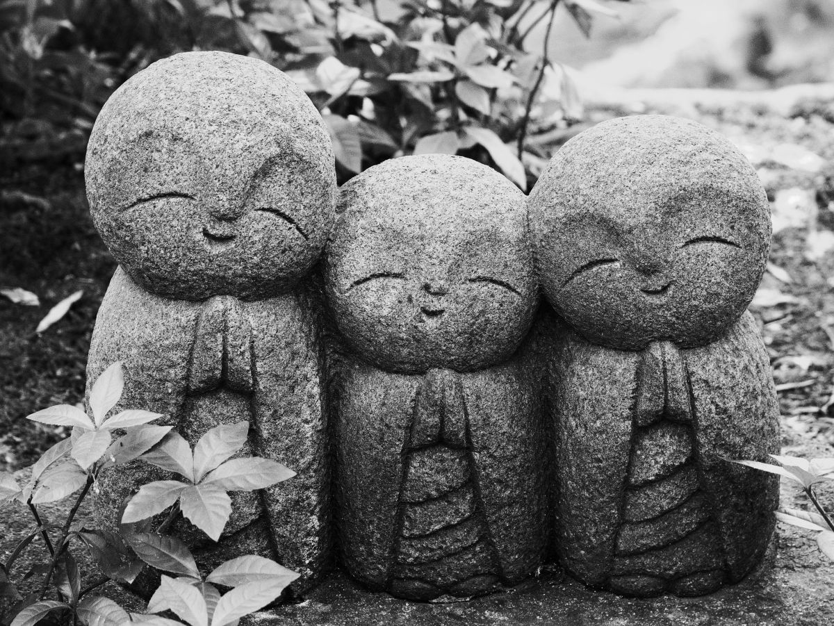 LUMIX DMC-GF7で撮影された写真 | 写真検索 | GANREF