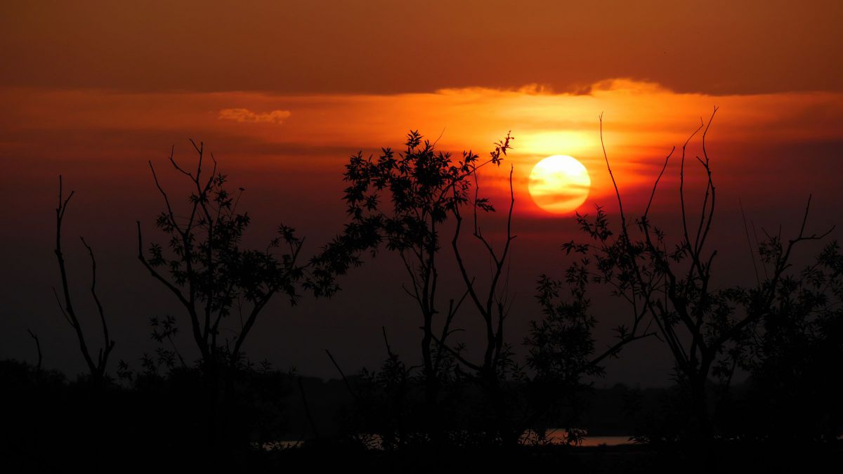 MMページ⭐︎風景　写真 影絵のような景色 📷Nikon Z8 & Z14-24mm F2.8 S 🎨Adobe