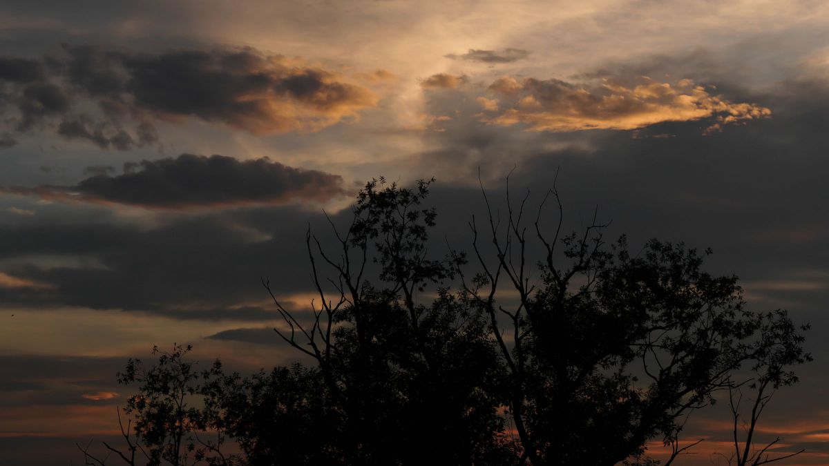 横長の風景：夏1 | GANREF