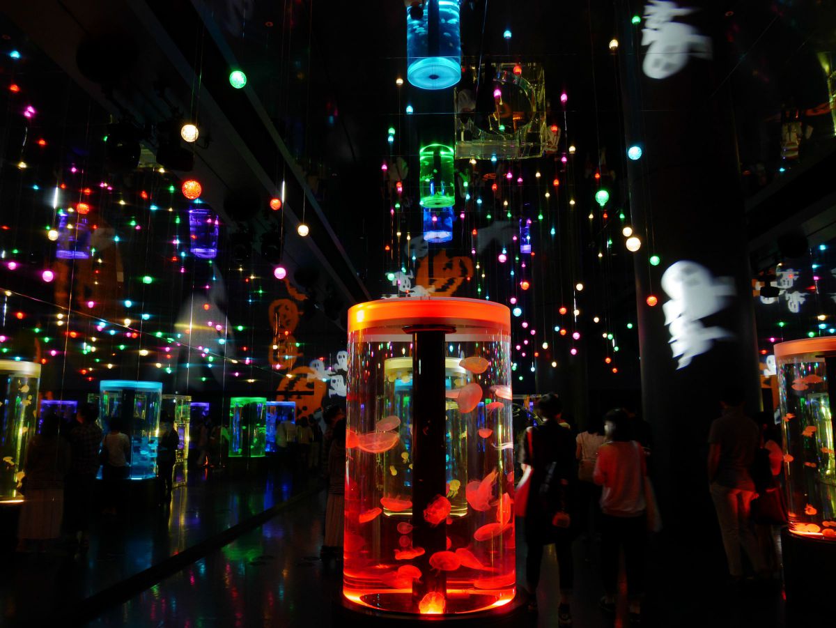 Colorful | GANREF