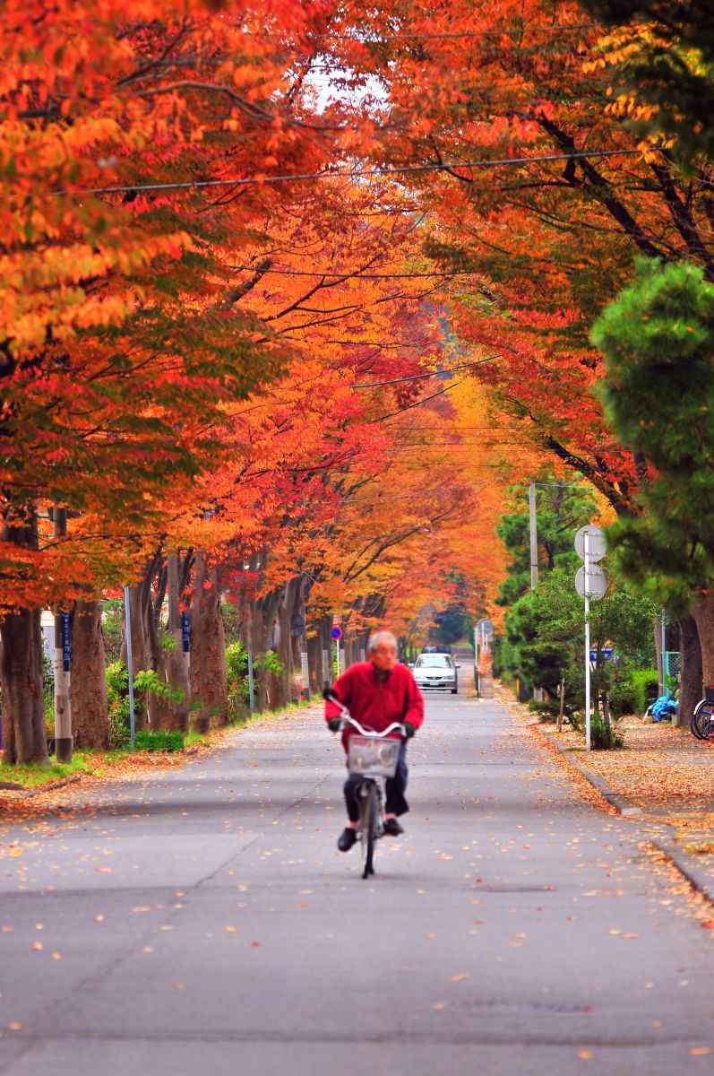 わしも紅葉中 街並み 建物 街並み Ganref