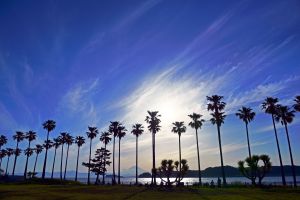 湘南女子海 自然 風景 海 Ganref